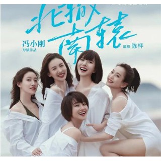 電視劇 北轍南轅（2021） 藍盈瑩 金晨USB數位檔非DVD