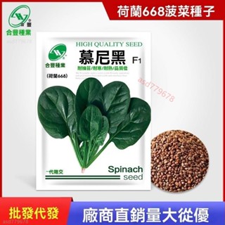 獨立裝🥦『四季小葉菠菜種子』蔬菜秋冬籽種陽臺種籽耐熱菜種盆栽波菜約1000粒大葉菠菜種子