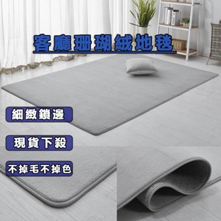 臺灣出貨 ins風珊瑚絨地毯 純色地毯 床邊地墊 絨毛地墊 防滑地墊 床邊地毯 地毯地墊 簡約風地毯 客廳地毯地毯熱銷