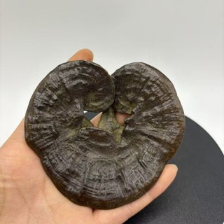 🔥臺灣出貨🔥 擺飾 手把件 木雕擺件 蓋置 神明擺件 關公擺件 銅雕擺件 銅器 銅製聚寶盆 靈芝如意 銅龍擺件