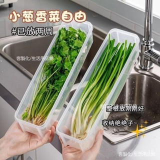 🔥限時下殺 蔬菜保鮮盒 香菜小蔥收納盒 冰箱保鮮盒 保鮮盒 冰箱收納盒 保鮮神器加厚款麵條鷄蛋備菜保鮮密封 蔥蒜保鮮盒