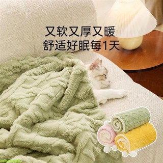 ❤限時優惠❤ 免運安心睡眠 可蓋可墊兩用寵物毛毯 ins風保暖毯子 加厚法蘭絨狗窩 厚實柔軟狗狗睡覺地墊 不易掉毛狗墊