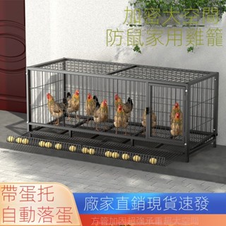 24H出貨&可開發票雞籠子家用特大號超大號加密鐵絲網小雞專用籠子自動滾蛋養殖籠