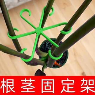 💯桃園出貨🚚 植物莖支架 植物支架 龜背芋架 龜背竹支撐固定器防倒伏春羽支架水培枝幹收攏架花盆園藝花卉綠植 花莖架