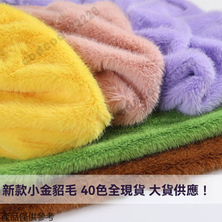 毛絨布料 棉花娃娃 2cm小金貂布料 玩偶布料 毛絨布 絨毛布 毛毛布 娃娃絨布 皮膚布料 水晶絨 保暖布料 娃娃布