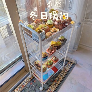 AIOE#陽臺花架家用落地多肉置物架可移動小推車室內戶外多層鐵藝花盆架