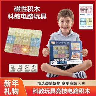 磁力方塊積木我的世界磁力玩具正方體磁鐵兒童玩具電路積木