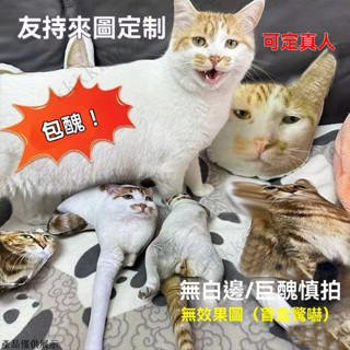 醜抱枕(無白邊) 客製異形抱枕 異形抱枕 模擬抱枕 寵物抱枕 客製抱枕 醜貓抱枕 異形玩偶 搞笑抱枕 寵物抱枕 人形抱枕