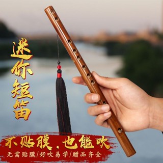 小型樂器💖迷你短笛無膜孔橫笛學生入門竹笛初學者兒童成人樂器女隨身小笛子