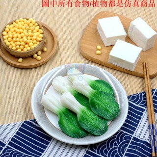 ✨模擬模型 模擬假青菜心油菜白豆腐上海青蔬菜模型拍攝道具櫥櫃影樓家居裝飾模擬食物 模擬模型 模擬