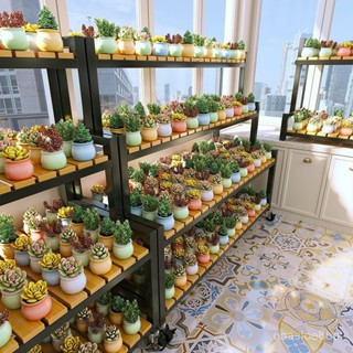 🌈可開髮票🌟 多肉花架子陽臺多層可移動植物專用花架展示架花盆架子置物架室內 盆栽架 多肉植物架 花架落地 防潮防腐花架🌸
