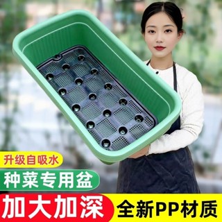 【佳佳優選】陽臺種菜盆神器家庭種菜專用箱自吸水花盆懶人自動儲水塑膠種植箱 VJVM