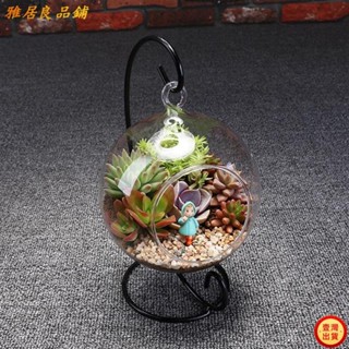 壹灣出貨+發票 迷你創意小盆栽diy材料青苔蘚微景觀植物可愛室內綠植生態瓶擺件kun