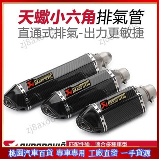 專車✨專用類蠍 仿排氣管改裝 蠍子直通小六角排氣管r15v3 r3改裝force smax ninja400 改裝排氣管