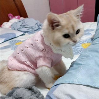 幼犬衣服貓咪狗狗超小衣服 幼貓狗狗貓咪衣服 貓咪衣服公主風幼貓0-3-6個月冬季保暖藍貓金漸層布偶小母貓毛衣 LEFM