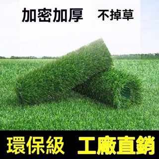 🔥[廠家直銷][免運]🔥 草坪 綠地模擬 地毯 幼兒園 墊子 人工 戶外 假塑膠草皮 陽臺裝飾 加密 加厚