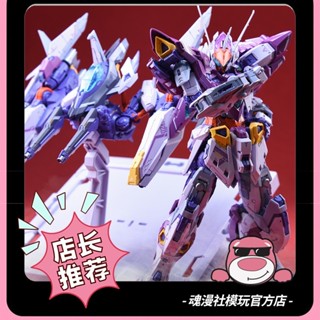 模型 組裝模型 金屬模型 拚裝模型 無限新星 無限維度 雷霆 RMD係列國創機甲1/100拚裝模型
