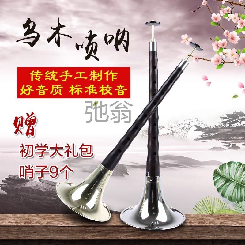 卡祖笛 嗩吶 北管嗩吶 嗩吶吹嘴 調嗩吶樂器大中降全套C成人J嗩吶烏木嗩吶調中小B嗩吶大中小有初