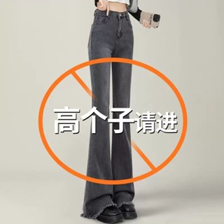 175高個子喇叭褲 加長牛仔褲 煙灰色牛仔褲 高腰微喇叭牛仔褲女 春秋喇叭褲 修身顯瘦喇叭褲 毛邊拖地褲 微喇褲 女褲