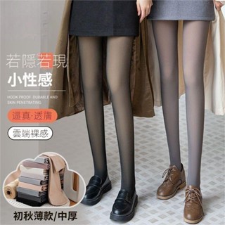 加厚保暖絲襪|連褲襪|絲襪|秋冬季連褲襪女|加絨一體絲襪|性感絲襪女|假透肉連褲襪|空姐灰黑絲襪|美腿塑形絲襪|韓係穿搭