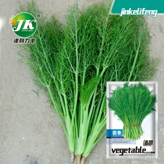 原廠包裝🥦廠家批發割茬茴香種子四季播種蔬菜種子陽臺盆栽田園菜籽種籽 春芽園藝