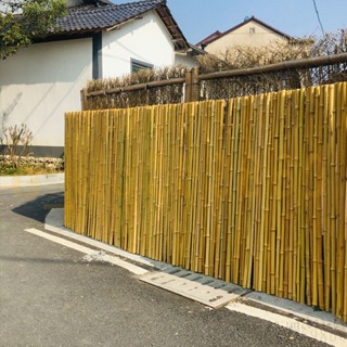 宅配免運🚛優選🌟戶外竹籬笆白竹碳化竹子圍欄花園竹排裝飾籬笆院子隔斷竹圍墻竹竿