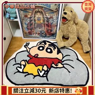 ⚡限時破價⚡可客製化尺寸ins仿羊絨地墊小清新臥室床邊毯客廳地毯衣帽間房間墊客廳茶几毯家用沙發地墊毛絨地毯apeng7