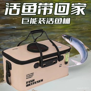 ⭐臺灣出貨⭐釣魚桶 魚箱 活魚桶 魚護桶 eva折疊釣箱 加厚水桶 裝魚桶 漁具用品 活魚帶回家 折疊巨能裝 釣魚活魚桶