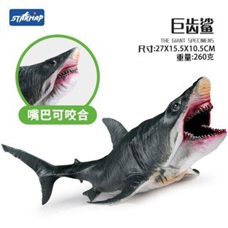 巨齒鯊 海洋動物 模擬 模型 真鯊魚滄龍蛇頸龍恐龍玩具 擺件 男女孩禮物 模型 禮物 公仔 動物玩偶交換禮物 逼真模型
