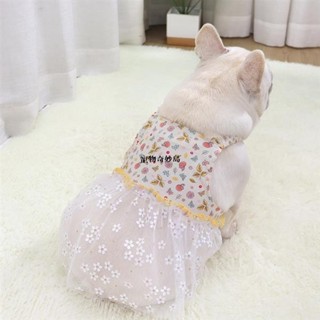 😸獨寵一身 可愛寵物蓬蓬裙 法鬥裙子 超萌狗狗吊帶裙 寵物洋裝 胖狗裙子 春夏透氣狗狗衣服 寵物衣服 可愛印花寵物背帶