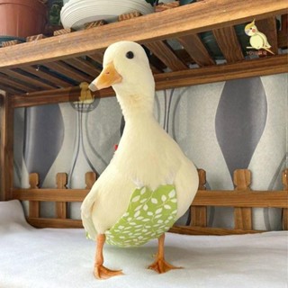 🐶寵幸優品 網紅萌寵柯爾鴨屎兜文明兜尿不濕衣服可牽引寵物鴨糞兜鵝防水尿片