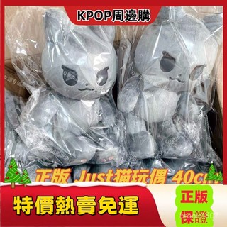 正版 aespa 吒 柳智敏 Karina 柚 just貓玩偶 40cm公仔 娃娃