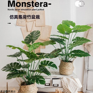 北歐仿真植物 室內觀葉植物 模擬盆栽 植物盆栽 人造植物 仿真植物 假綠植擺件 假花假植物 室內裝飾擺件 擺飾假花 植栽