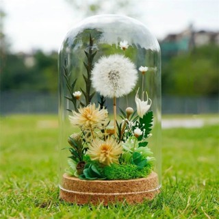 [新款下殺]🌼永生花浪漫軟木塞玻璃罩擺件手辦diy手工乾花玻璃罩防塵ins高階永生花 永生花夜燈 玻璃罩永生花 擺件