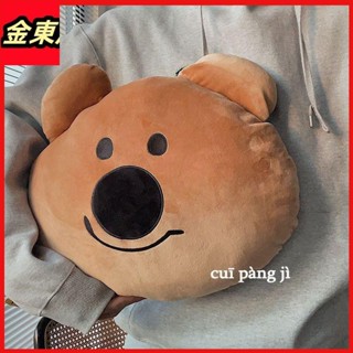 【限時特價】✨韓國ins可愛卡通考拉小熊公仔抱枕 柿子椒熊沙發靠墊腰靠 午睡枕頭 毛絨玩具生日禮物