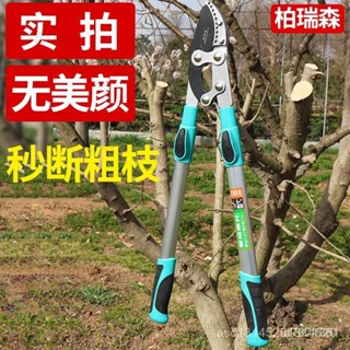園藝💗修剪樹枝園林果樹剪刀 修枝剪高粗枝剪 大力剪 省力伸縮園藝工具剪子 園藝剪刀 園藝工具 剪樹枝 樹枝剪 高枝IKL