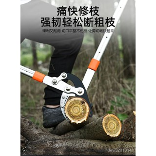 諮詢購買 可得免運 德國伸縮粗枝大力剪園藝果樹剪刀高枝剪園林省力修剪樹枝修枝剪子 手動農具 工具 C3WG