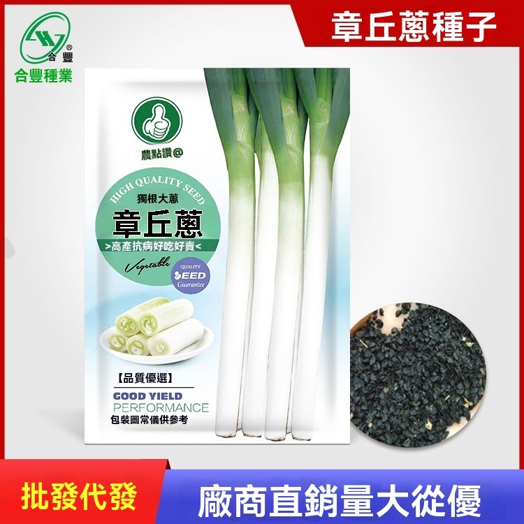 章丘獨根大蔥種子北方農戶鐵桿蔥種籽特大蔥種孑蔬菜種子廠家批發 植韻花園