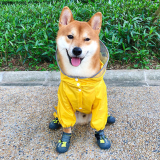 中型小型犬雨衣 四腿全包泰迪狗雨披 防水貴賓雪納瑞柴犬狗雨天衣服