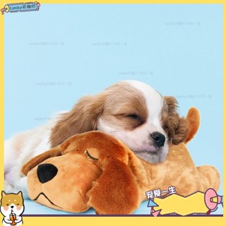 🐶寵物館🐶智慧依偎狗心跳填充玩具舒適的狗玩具緩解焦慮狗行為訓練輔助qwe