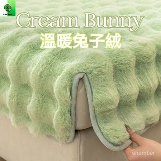 🍀冬季全包兔毛絨沙髮墊—TW生活幫🍀秋冬款防滑萬能墊子 沙髮套罩 輕奢高階感蓋布 保暖兔毛絨沙發墊 素色加厚沙發套