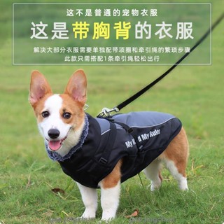 ⭐臺灣發貨免運⭐狗狗沖鋒衣 秋冬季大狗衣服防風防水狗狗棉衣/熱賣