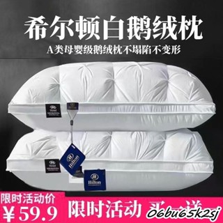 熱銷🔥睡眠科技枕 科技 抗菌 除蟎 枕芯 護頸椎 助眠枕 羽絨枕頭護頸椎助睡眠五星級酒店白鵝絨高檔枕芯一對