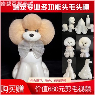 可開發票瑞寵新款萌係泰迪頭部假毛頭部模型泰迪模型骨骼寵物學校敎學專用 快剪專用 賓假狗毛 模擬狗 寵物美容 假狗毛