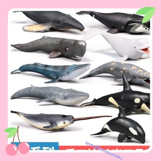 兒童模擬海底生物 海洋哺乳動物 實心鯨魚藍鯨模型玩具 早教認知套裝擺件禮物teresathompson843