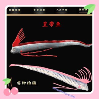 熱銷實心模擬海洋動物玩具皇帶魚地震魚大海蛇龍王魚兒童認知擺件 兒童創意禮物teresathompson843
