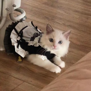 🐕‍🦺寵到家 寵物女僕裝貓貓狗狗貓咪公主裝可愛貓衣服貓咪狗狗公主裙洛麗塔 寵物服裝 寵物衣服 搞怪衣服