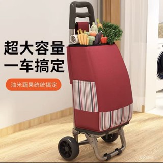 臺灣出貨 便攜購物車便攜購物買菜車家用折疊輕便手推車行李車拉桿車拖車