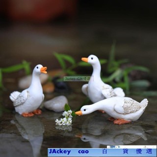 JACKY 百貨微景觀 造盆景 桌上裝飾 拍攝攝影 水族DIY 辦公室小物 造景 婚禮擺設 辦公桌裝飾 盆栽造景迷你小白