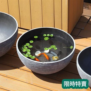 🔥六折優惠 免運 現✨ 魚缸 花盆【古法養魚養荷花】碗蓮睡蓮花盆造景烏龜金魚缸塑膠樹脂創意水培缸